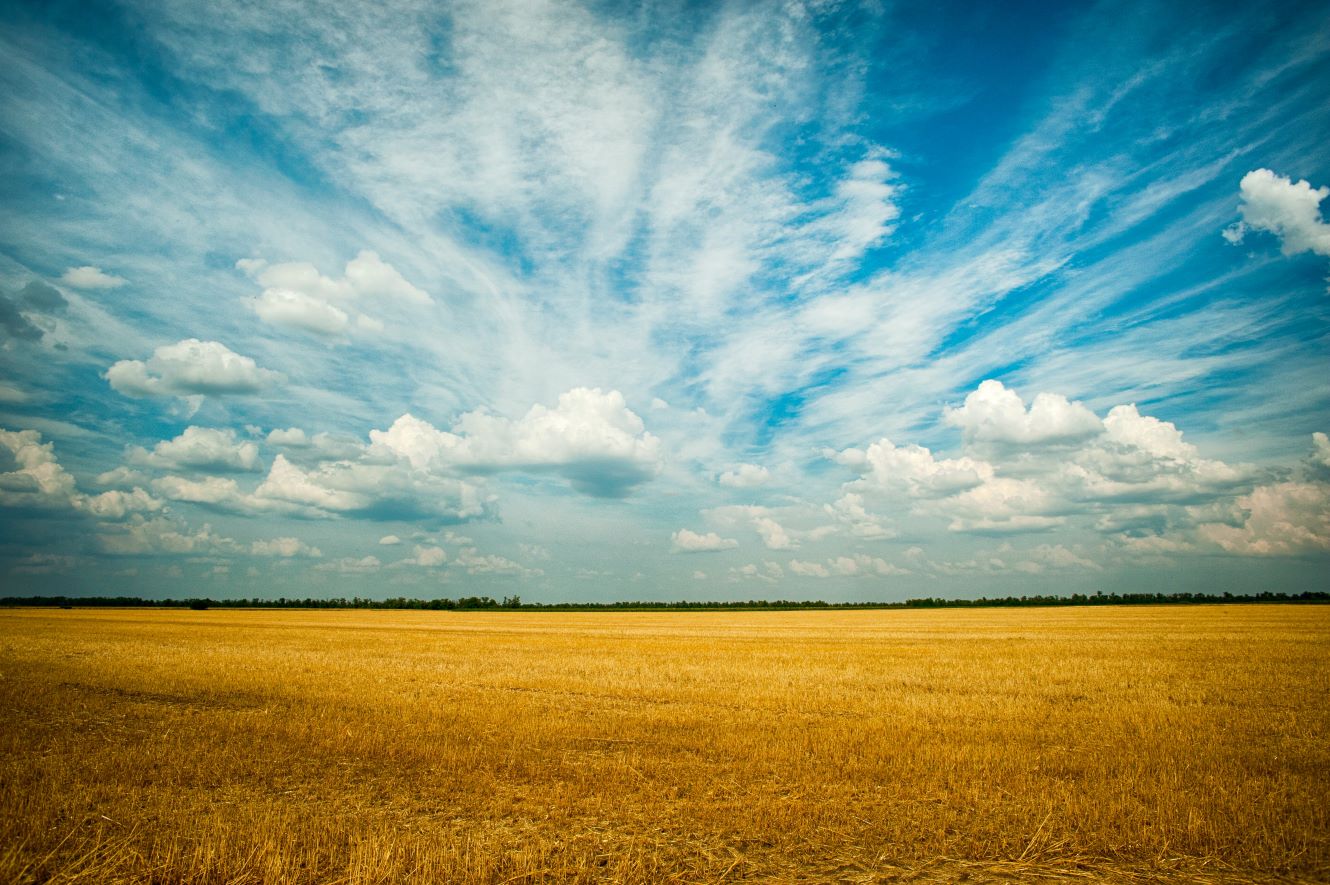sky with a field