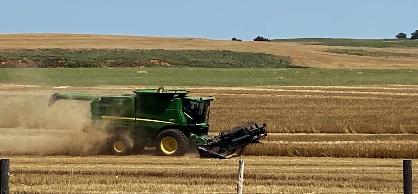 Combine in a field cutting wheat